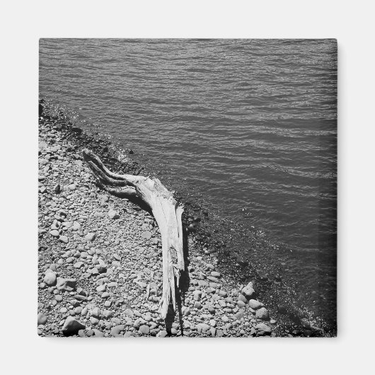 Natuurlijke balans - Driftwood Stilleven Magneet (Voorkant)