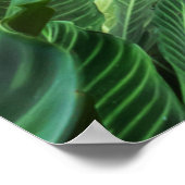 Natuurlijke Bliss Poster (Hoek)