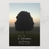 Natuurlijke boom bij de Sunrise Funeral Service Programmakaart (Voorkant)