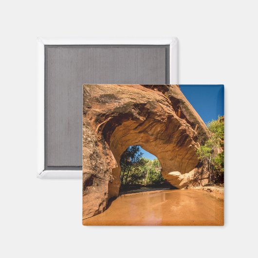 Natuurlijke brug Coyote - Coyote Gulch - Utah Magneet (Voorkant / Achterkant)