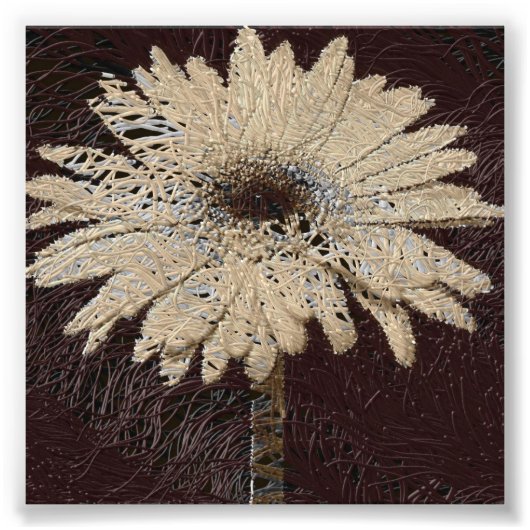 Natuurlijke, bruine tinten Daisy Print wallhaning Foto Afdruk (Voorkant)
