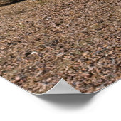 Natuurlijke Cactus Landscape 3994 Poster (Hoek)