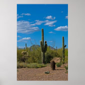 Natuurlijke Cactus Landscape 3994 Poster (Voorkant)