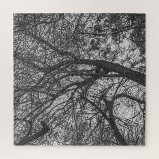 Natuurlijke Chaos Puzzel (Verticaal)