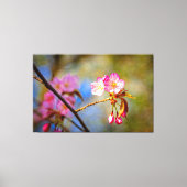 Natuurlijke compositie van kersenbloesems in de le canvas afdruk (Voorkant)