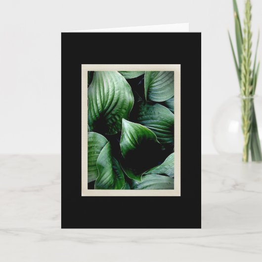 Natuurlijke Delicatessen 104 Kaart (Voorkant)