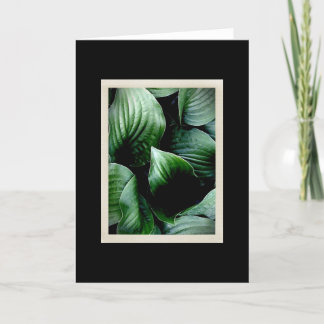 Natuurlijke Delicatessen 104 Kaart