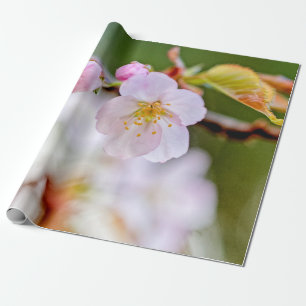 Natuurlijke flora Samenstelling van Sakura Flowers Cadeaupapier
