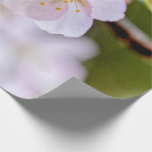 Natuurlijke flora Samenstelling van Sakura Flowers Cadeaupapier (Hoek)