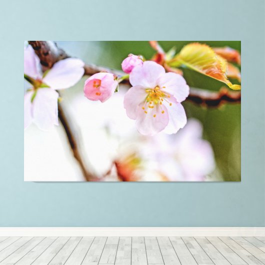 Natuurlijke flora Samenstelling van Sakura Flowers Canvas Afdruk (Insitu (Houten vloer))