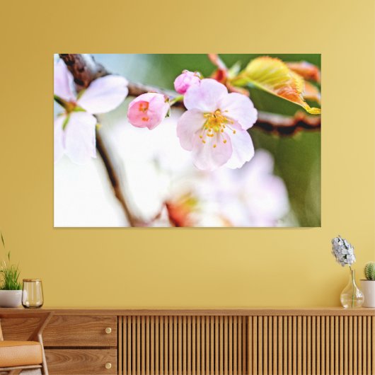 Natuurlijke flora Samenstelling van Sakura Flowers Canvas Afdruk (Insitu (Woonkamer))