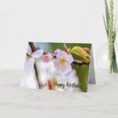 Natuurlijke flora Samenstelling van Sakura Flowers Kaart (Voorkant)