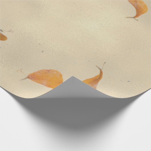 Natuurlijke Floral Grungy Earth Poppes Petals Mulb Cadeaupapier (Hoek)