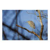 Natuurlijke foto van de gehakte erfenis perfect poster (Voorkant)