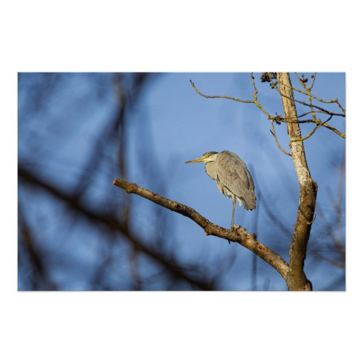 Natuurlijke foto van de gehakte erfenis perfect poster (Voorkant)
