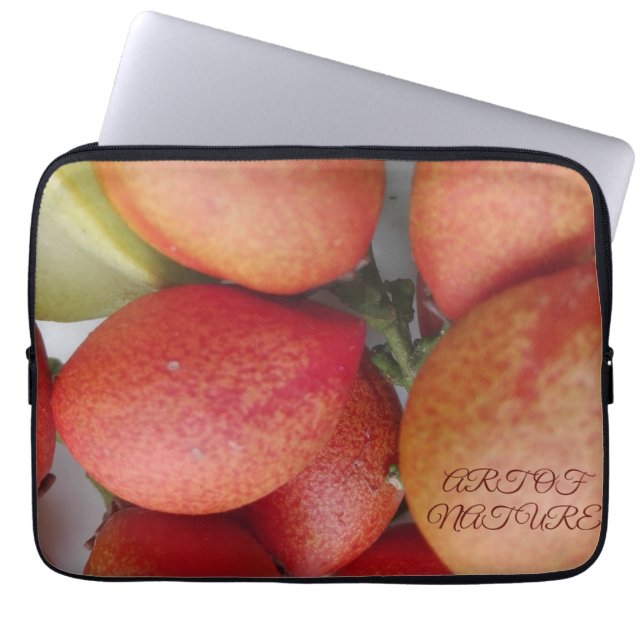 Natuurlijke fruitkunst cadeau van de valentijn van laptop sleeve (Voorkant)