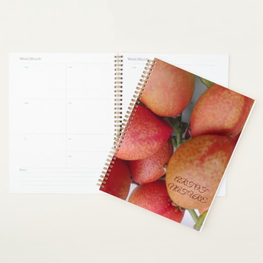 Natuurlijke fruitkunst cadeau van de valentijn van planner (Display)