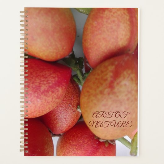 Natuurlijke fruitkunst cadeau van de valentijn van planner (Voorkant)