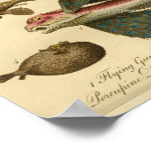 natuurlijke geschiedenis van vliegende vis Afdruk Poster (Hoek)