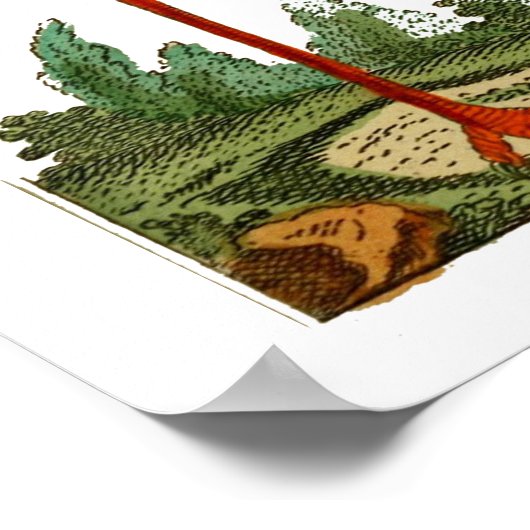 Natuurlijke geschiedenis van vogels 1795 Bord 33 K Poster (Hoek)