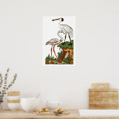 Natuurlijke geschiedenis van vogels 1795 Bord 33 K Poster (Keuken)