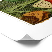 Natuurlijke geschiedenis van vogels 1795 Bord 33 Poster (Hoek)