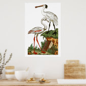 Natuurlijke geschiedenis van vogels 1795 Bord 33 Poster (Keuken)