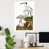 Natuurlijke geschiedenis van vogels 1795 Bord 33 Poster (Thuiskantoor)