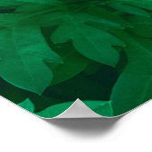 Natuurlijke groene achtergrond van groene bladeren poster (Hoek)