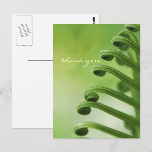 Natuurlijke, groene krullende bladeren briefkaart (Voorkant / Achterkant)