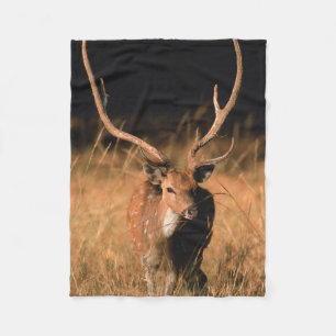 Natuurlijke habitat van chital Nationaal park Ba Fleece Deken