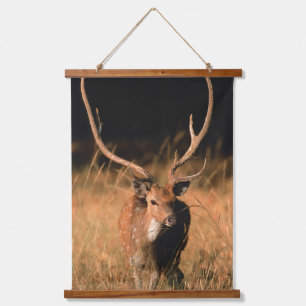 Natuurlijke habitat van chital   Nationaal park Ba Hangend Wandkleed