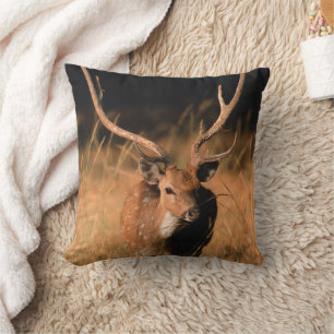 Natuurlijke habitat van chital   Nationaal park Ba Kussen
