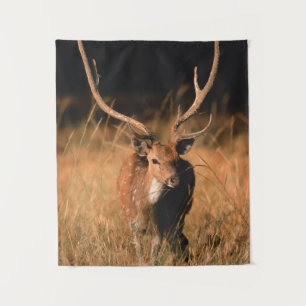 Natuurlijke habitat van chital   Nationaal park Ba Wandkleed