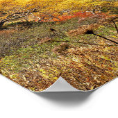 Natuurlijke herfst gele bladeren poster (Hoek)