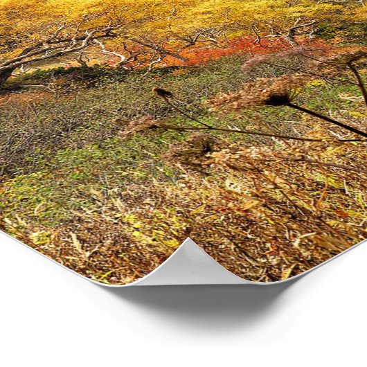 Natuurlijke herfst gele bladeren poster (Hoek)