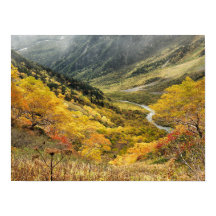 Natuurlijke herfst gele bladeren