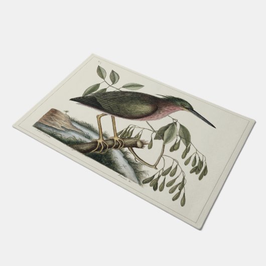 Natuurlijke historie: 24 x 36 inch Deurklep Deurmat (Schuin)