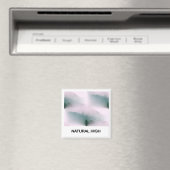 Natuurlijke Hoge Magneet (Insitu (Vaatwasser))