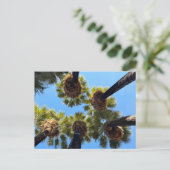 Natuurlijke inheemse palmbomen briefkaart (Staand voorkant)