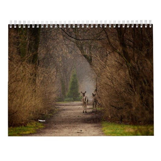 Natuurlijke invloed Fotografie 2016 Agenda Kalender (Achterkant)