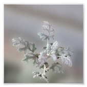 Natuurlijke kerstdecoraties foto afdruk (Voorkant)