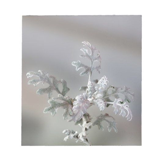 Natuurlijke kerstdecoraties notitieblok (Voorkant)