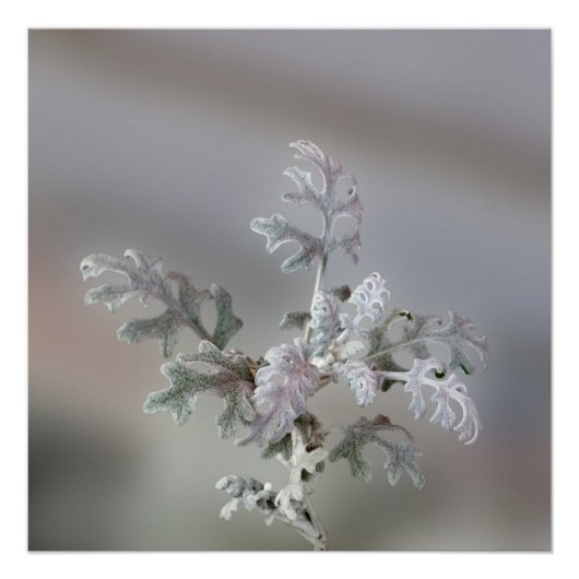 Natuurlijke kerstdecoraties perfect poster (Voorkant)