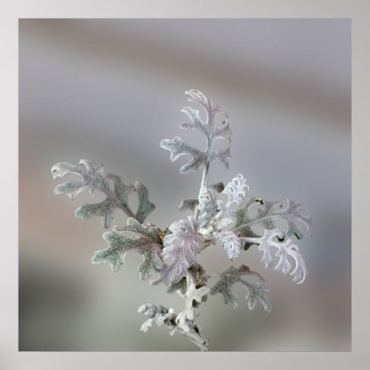 Natuurlijke kerstdecoraties poster (Voorkant)