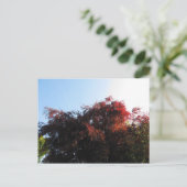 Natuurlijke kleur briefkaart (Staand voorkant)