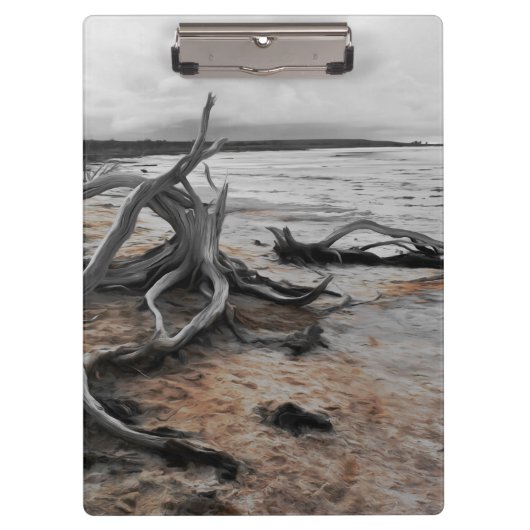 Natuurlijke krachten van Lake Tyrrell Klembord (Voorkant)