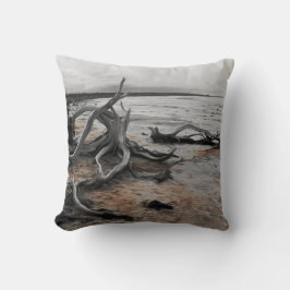 Natuurlijke krachten van Lake Tyrrell Kussen