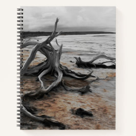 Natuurlijke krachten van Lake Tyrrell Notitieboek