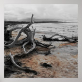 Natuurlijke krachten van Lake Tyrrell Poster (Voorkant)